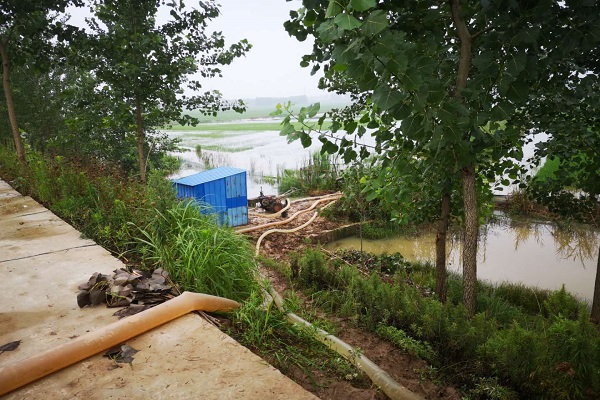 霍邱县岔路镇防汛抗洪纪实(五)