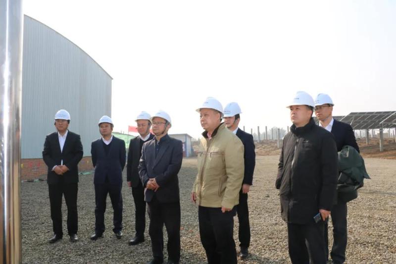 花园镇中广核农光互补光伏项目成功带电_霍邱县人民