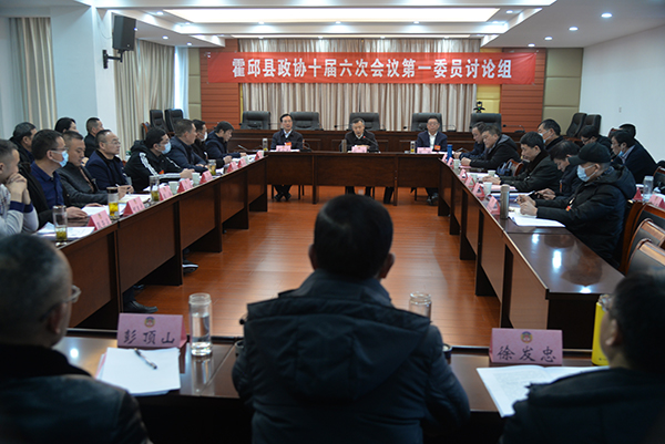 刘胜与代表委员们一起审议讨论《政府工作报告》_霍邱