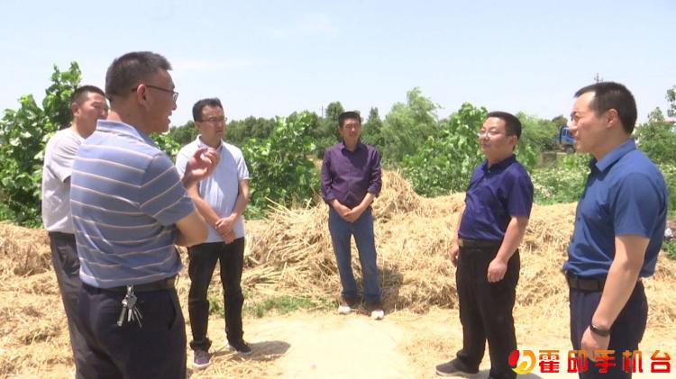 李煜调研"三夏"工作_霍邱县人民政府