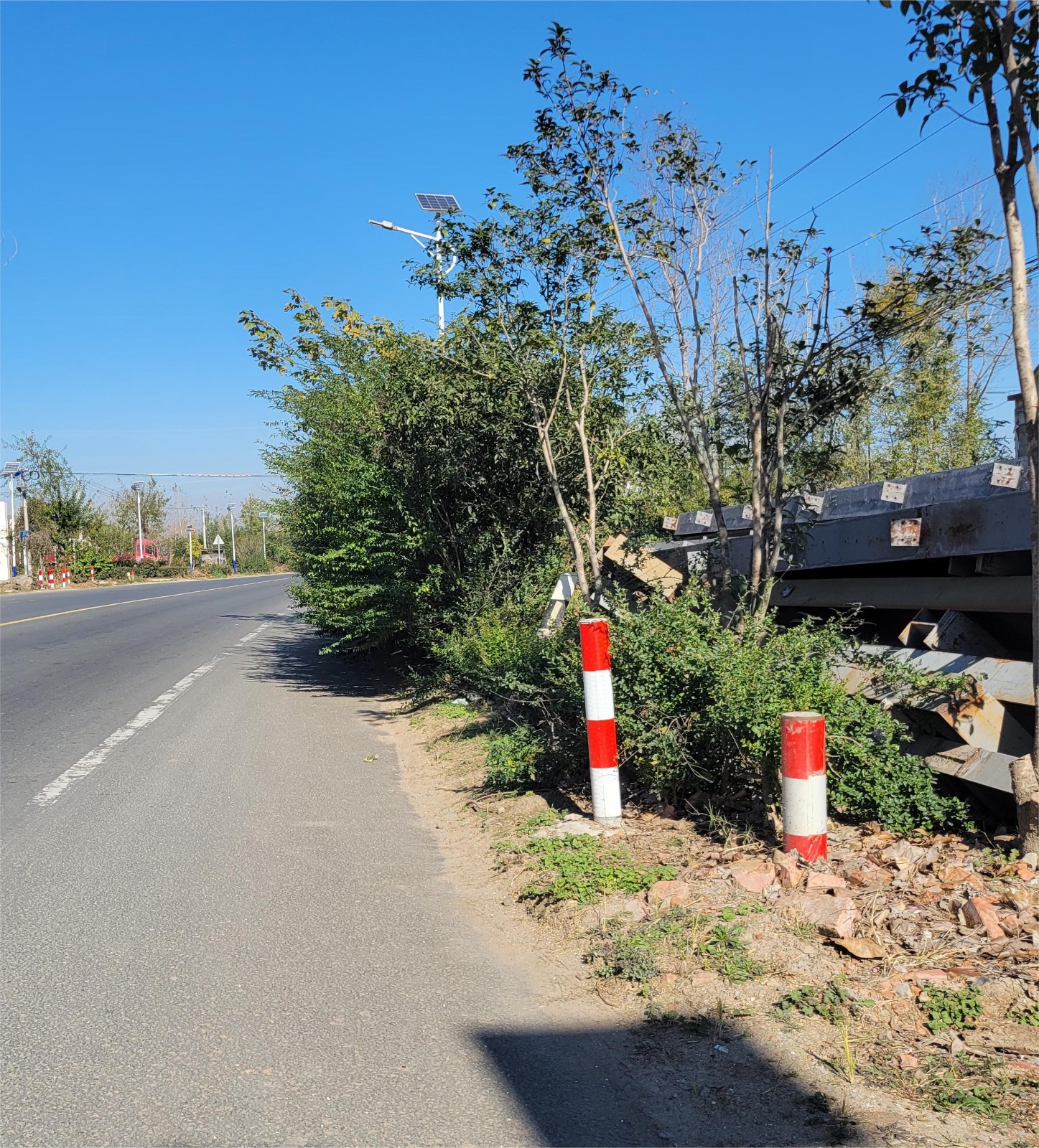 省道s310沿线绿植侵占非机动车道望修剪整理