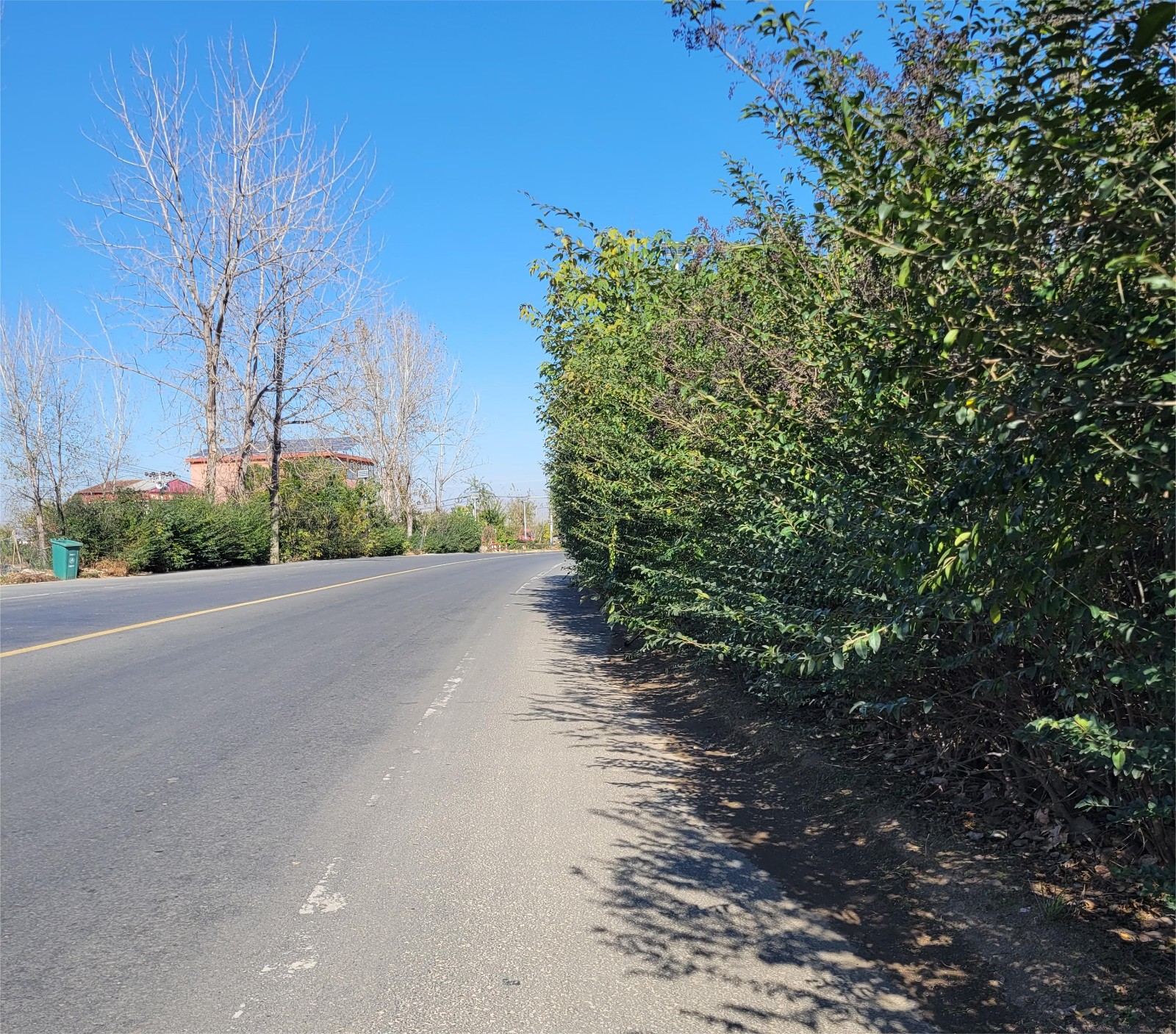 省道s310沿线绿植侵占非机动车道望修剪整理