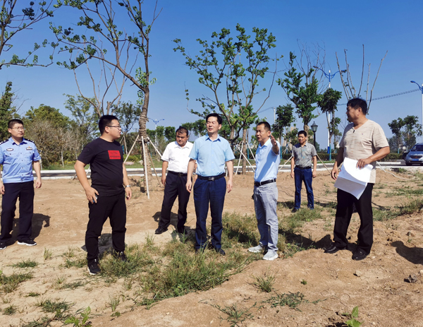 罗文开展林长制巡查并督查城市管理工作_霍邱县人民政府