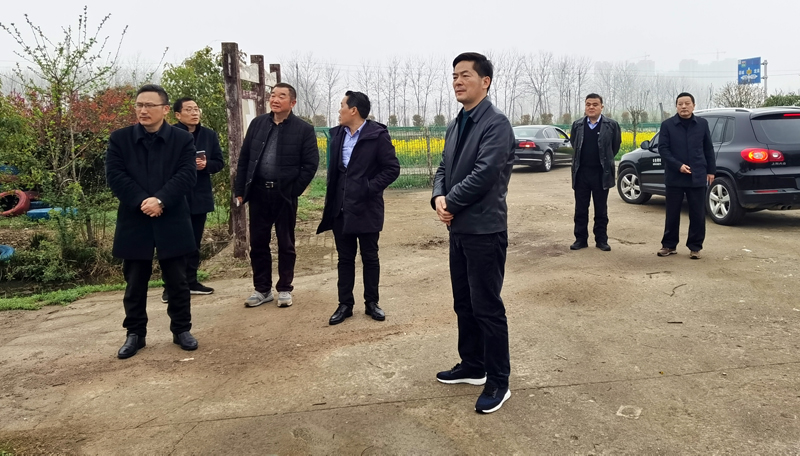 罗文开展巡林和巡河工作_霍邱县人民政府