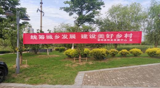 霍邱县林业发展中心学习贯彻中华人民共和国乡村振兴促进法
