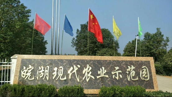 霍邱县潘集镇皖湖家庭农场