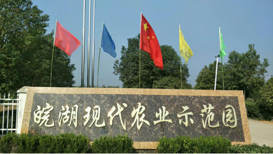 霍邱县潘集镇皖湖家庭农场