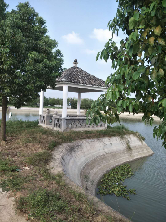 霍邱县潘集镇皖湖家庭农场