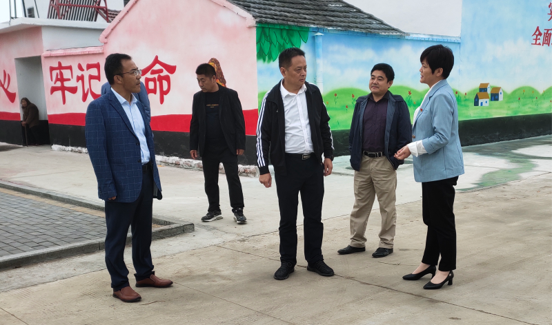 田维胜督导美丽乡村建设工作_霍邱县人民政府