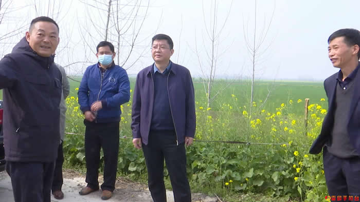 沈勇开展沿岗河县级河长巡河督导工作_霍邱县人民政府