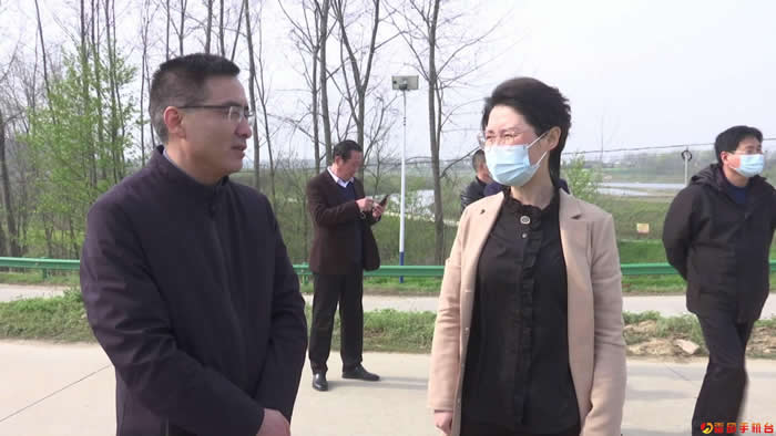 2022年4月1日,副县长毛玲霞率队开展淠河霍邱段县级河长巡察督导并
