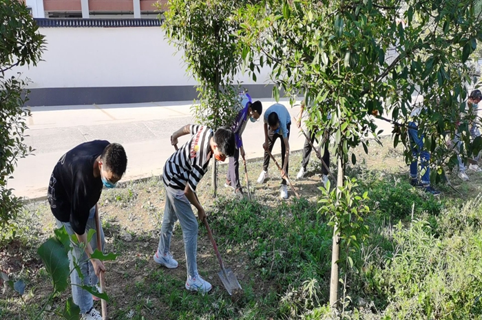 彭塔镇中心学校扎实上好复学劳动实践教育第一课