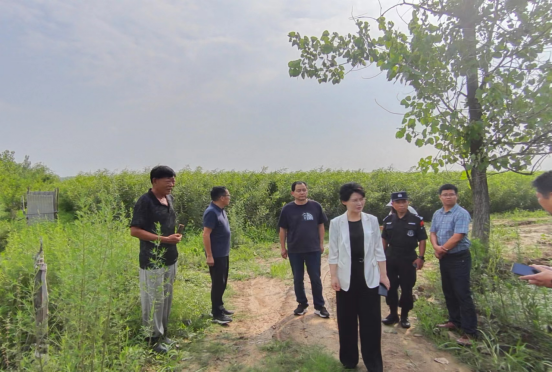 霍邱县人民政府