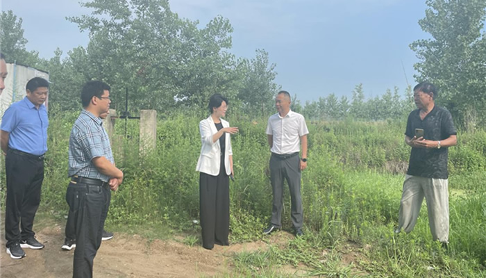 毛玲霞开展巡林,防汛和督查尾矿库工作_霍邱县人民政府