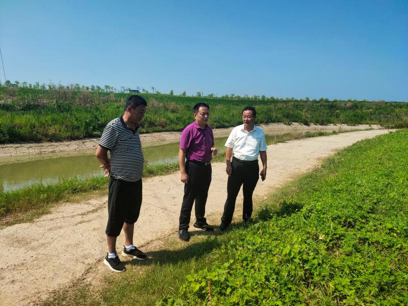 田维胜调研小龙虾产业发展并随机督导农村人居环境整治