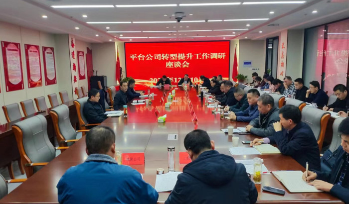 韦能武主持召开县属投融资平台公司转型提升工作调研座谈会
