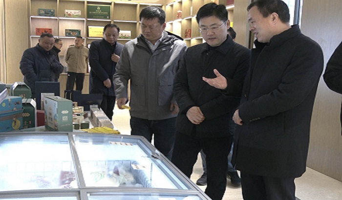 肥东县委书记姚飞一行来我县调研县域结对帮扶工作