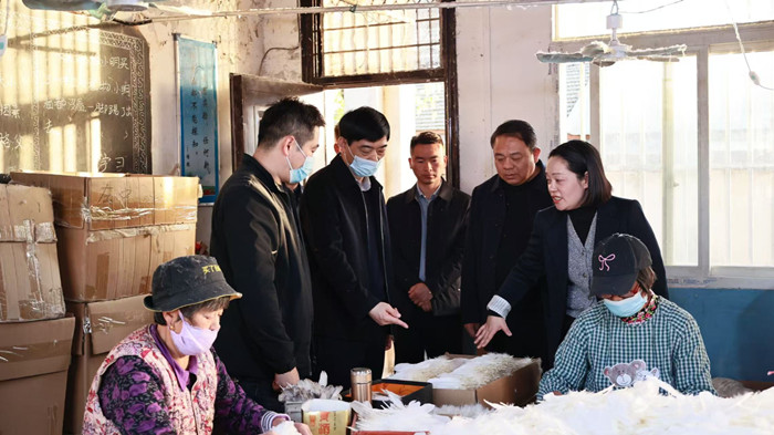 霍绍斌深入花园镇调研乡村振兴工作