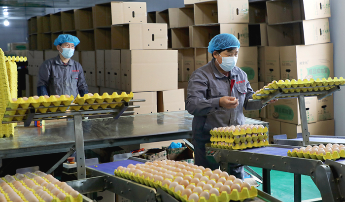 产销两旺　赋能振兴