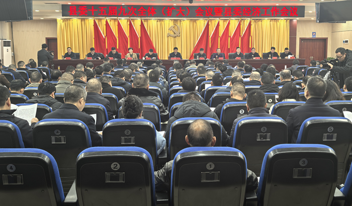 县委十五届九次全体（扩大）会议暨县委经济工作会议召开